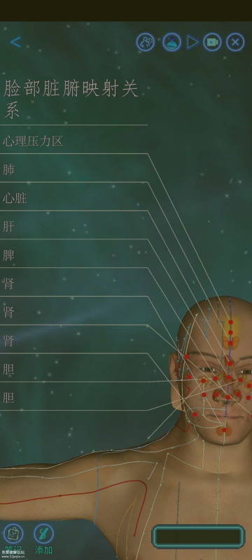 化身小铜人1.0.605-相见亦楠