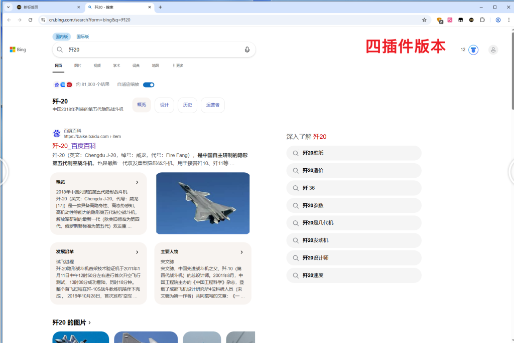 图片[2]-Chrome-正式版145.0.7632.160-四插件便携增强版/便携原版-相见亦楠