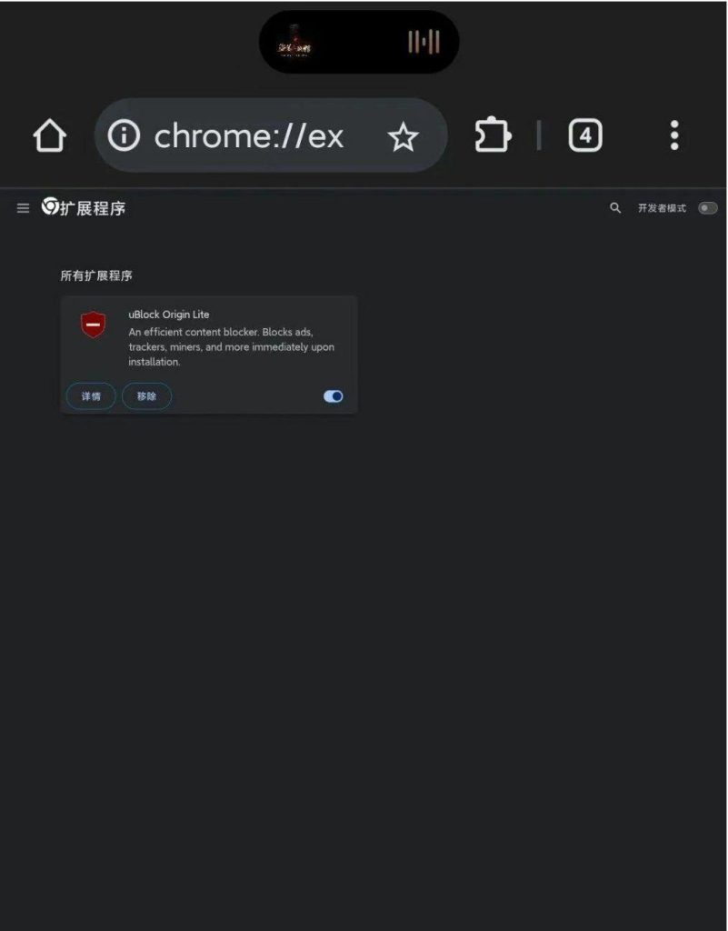 可扩展简洁高效的浏览器Elixir browser 1.0.20-相见亦楠